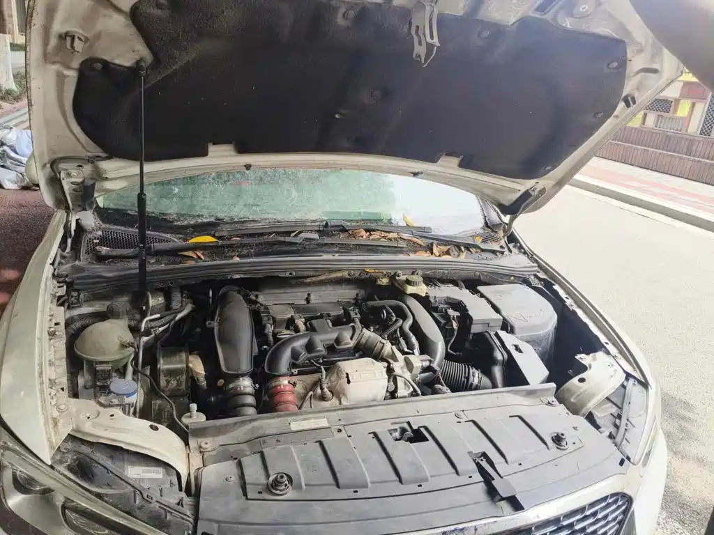 DS 5LS 2014 2014 1.6T Elegance THP160