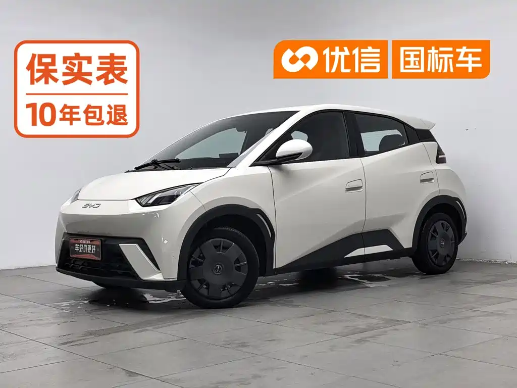 BYD Seagull 2024
