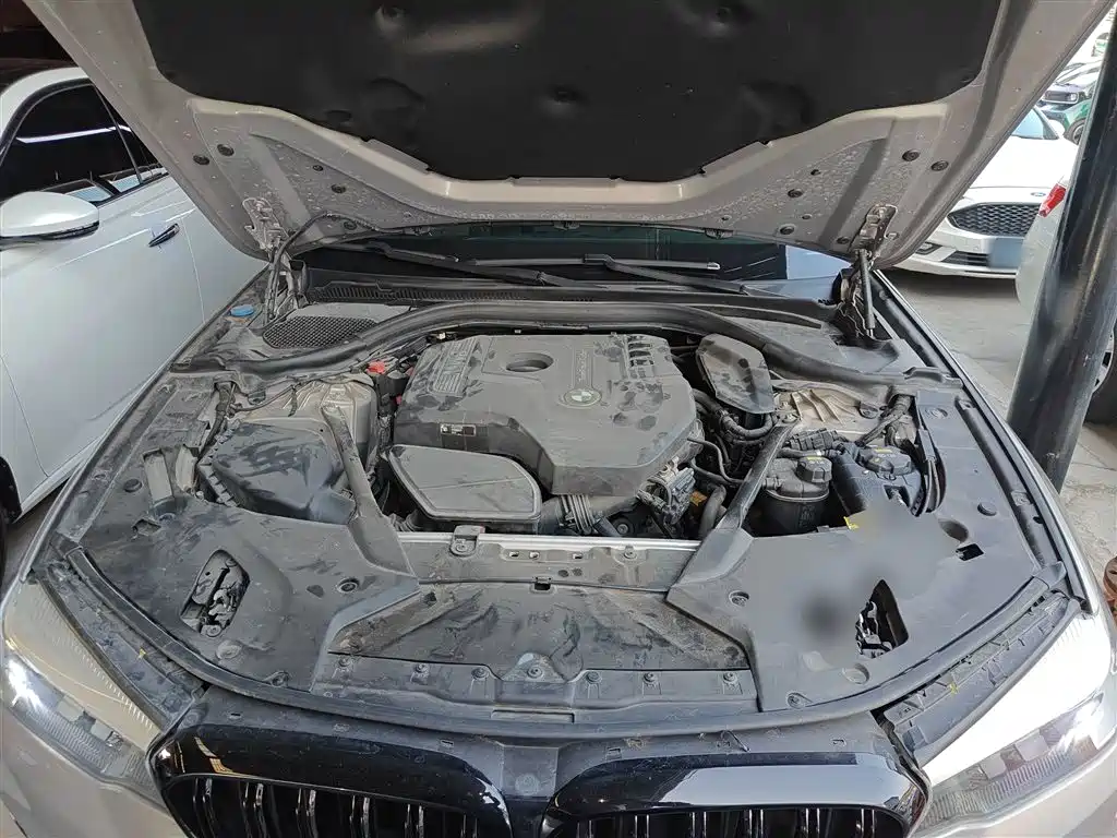 BMW 5 Series 2018 530Li Leading Luxury Package фото 10