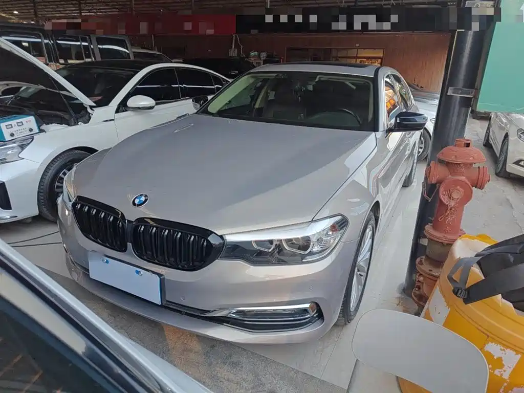 BMW 5 Series 2018 530Li Leading Luxury Package фото 2