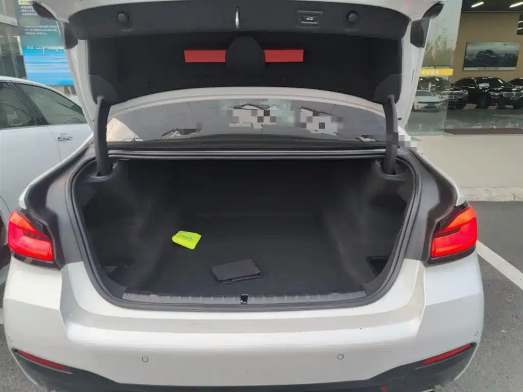 BMW 5 Series 2021 Facelift 525Li M Sport Package фото 9