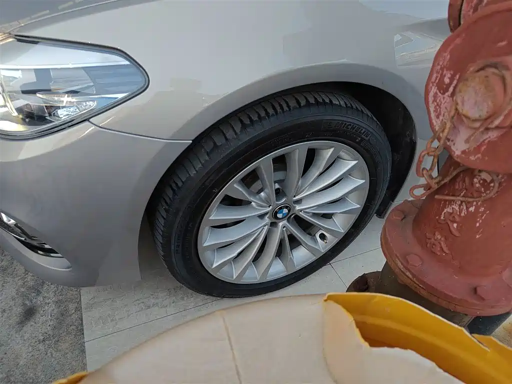 BMW 5 Series 2018 530Li Leading Luxury Package фото 25