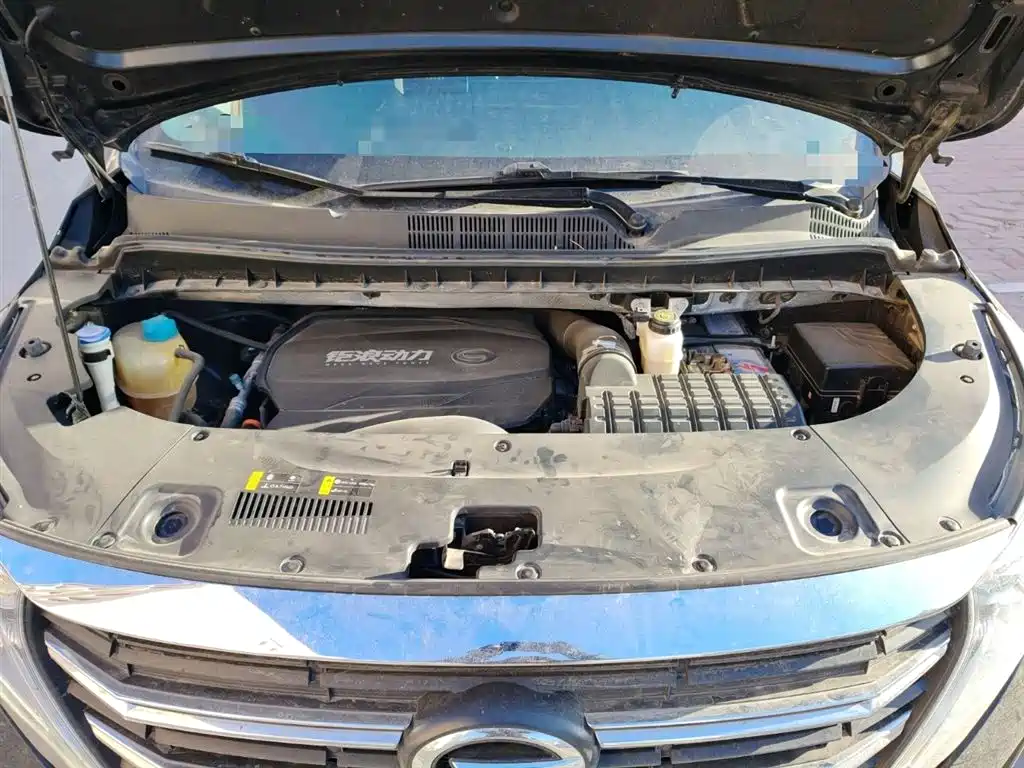 GAC Trumpchi Trumpchi M8 2023 Leading Series 390T Premium Edition фото 11