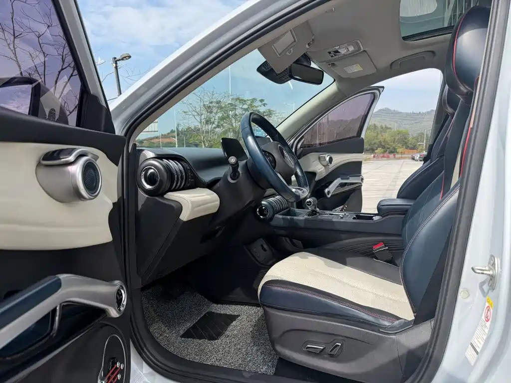 BYD Yuan PLUS 2022 2022 430KM Luxury Model