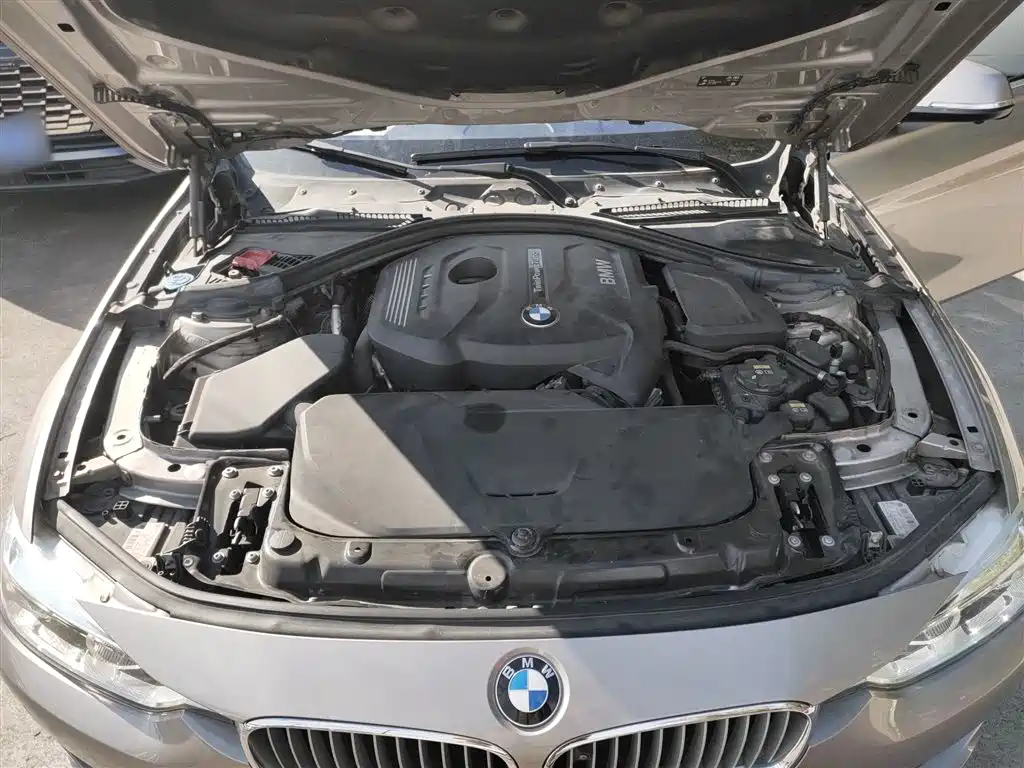 BMW 3 Series 2019 320Li Fashion Type фото 20