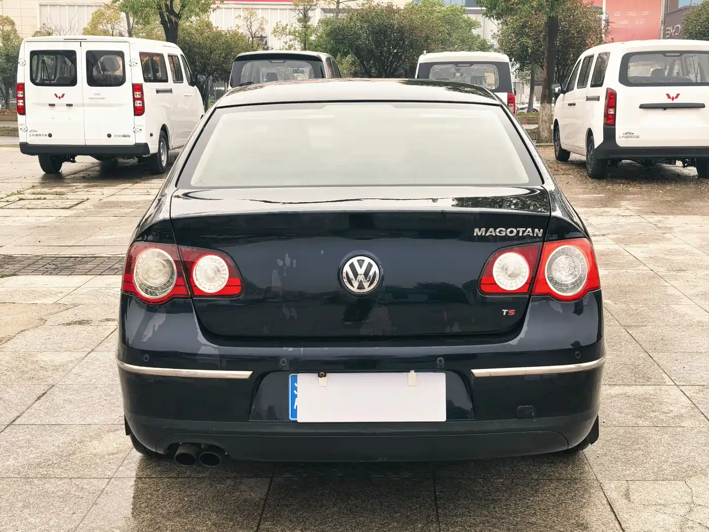 Volkswagen Magotan 2009 1.8TSI DSG Luxury фото 4