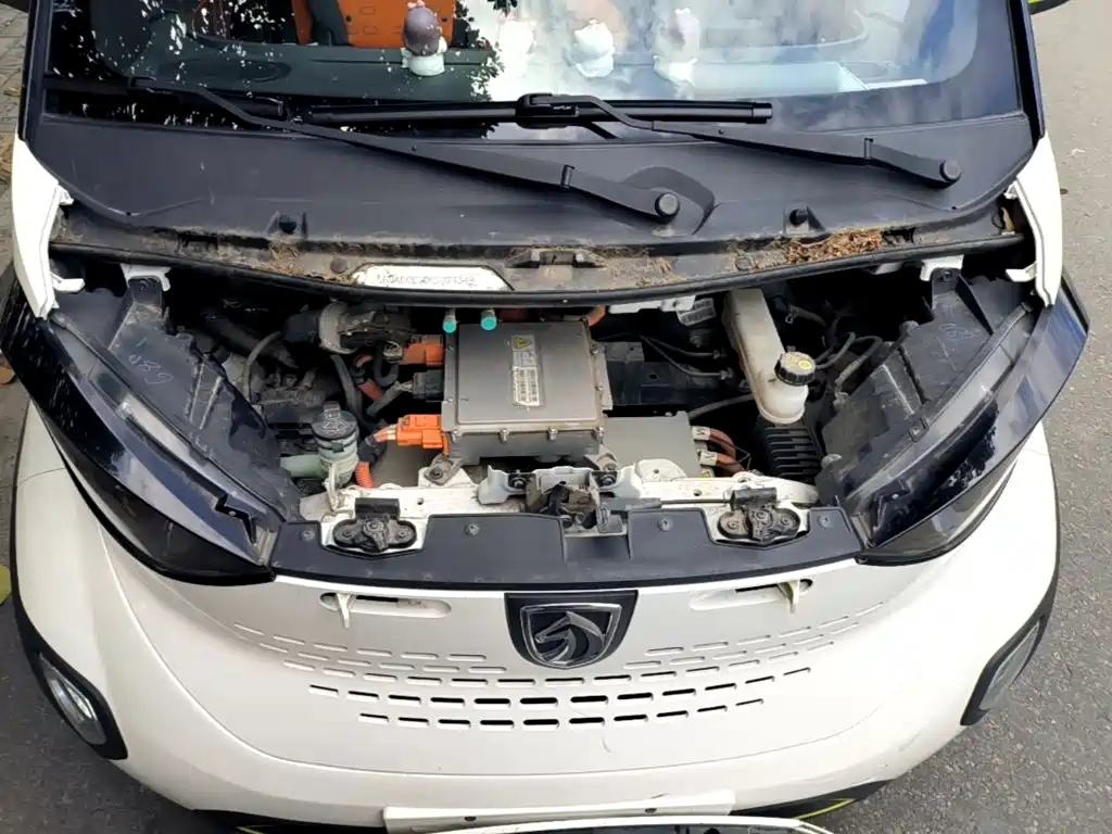 Baojun E100 2020 2019 250KM Smart Plus Edition