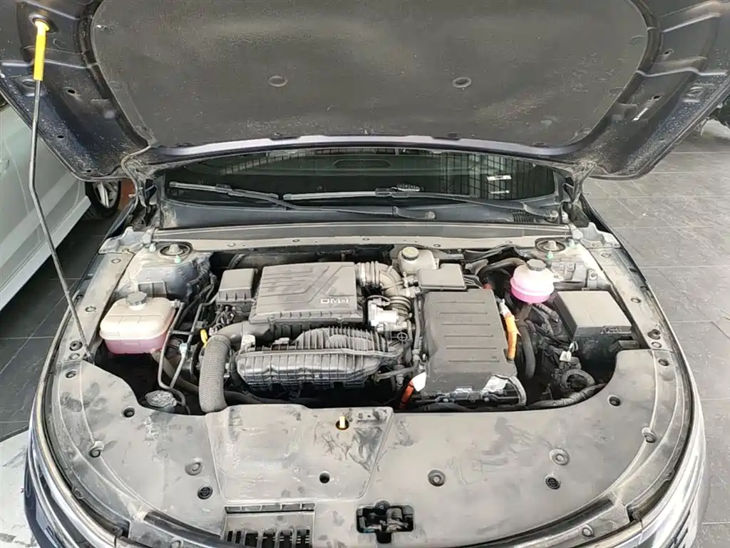 BYD Destroyer 05 2024 Glory Edition DM-i 55KM Luxury фото 20