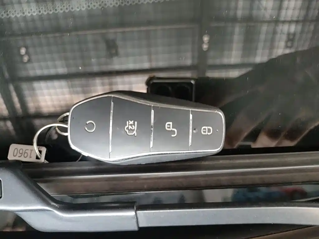 BYD Destroyer 05 2024 Glory Edition DM-i 55KM Luxury фото 9