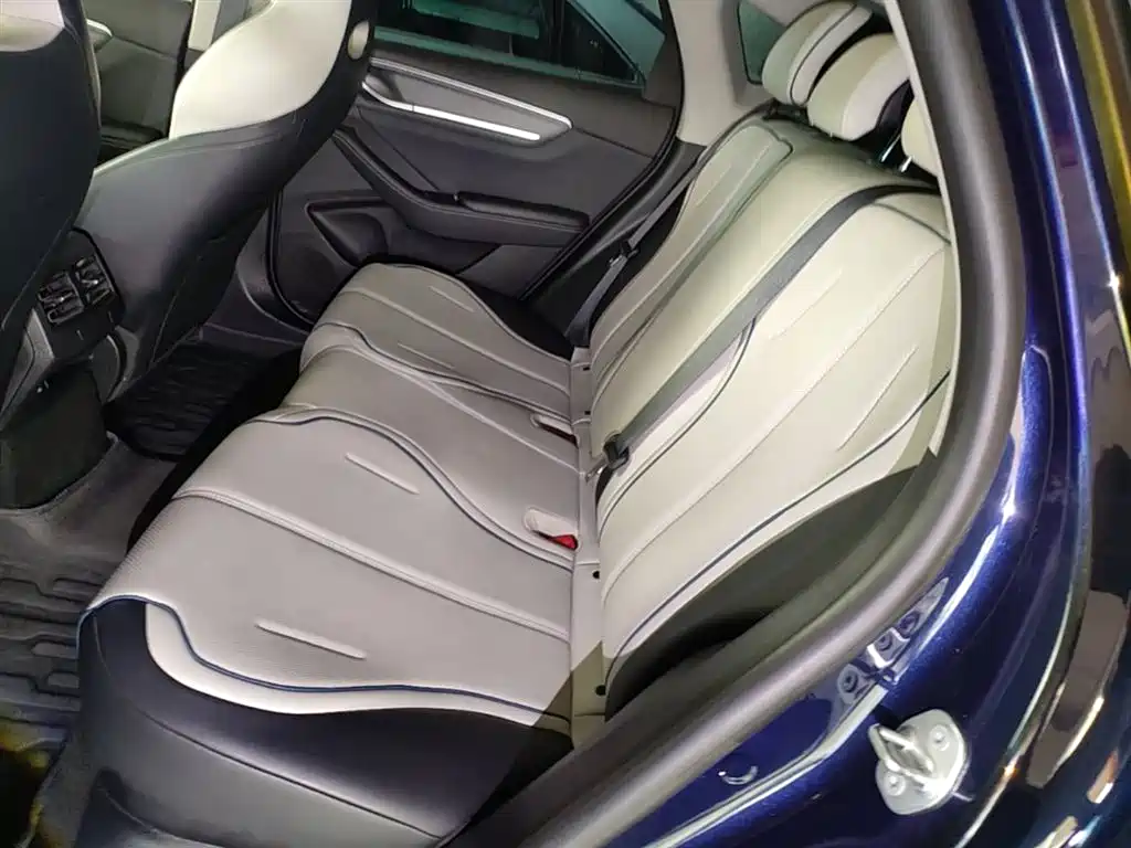 BYD Destroyer 05 2024 Glory Edition DM-i 55KM Luxury фото 17