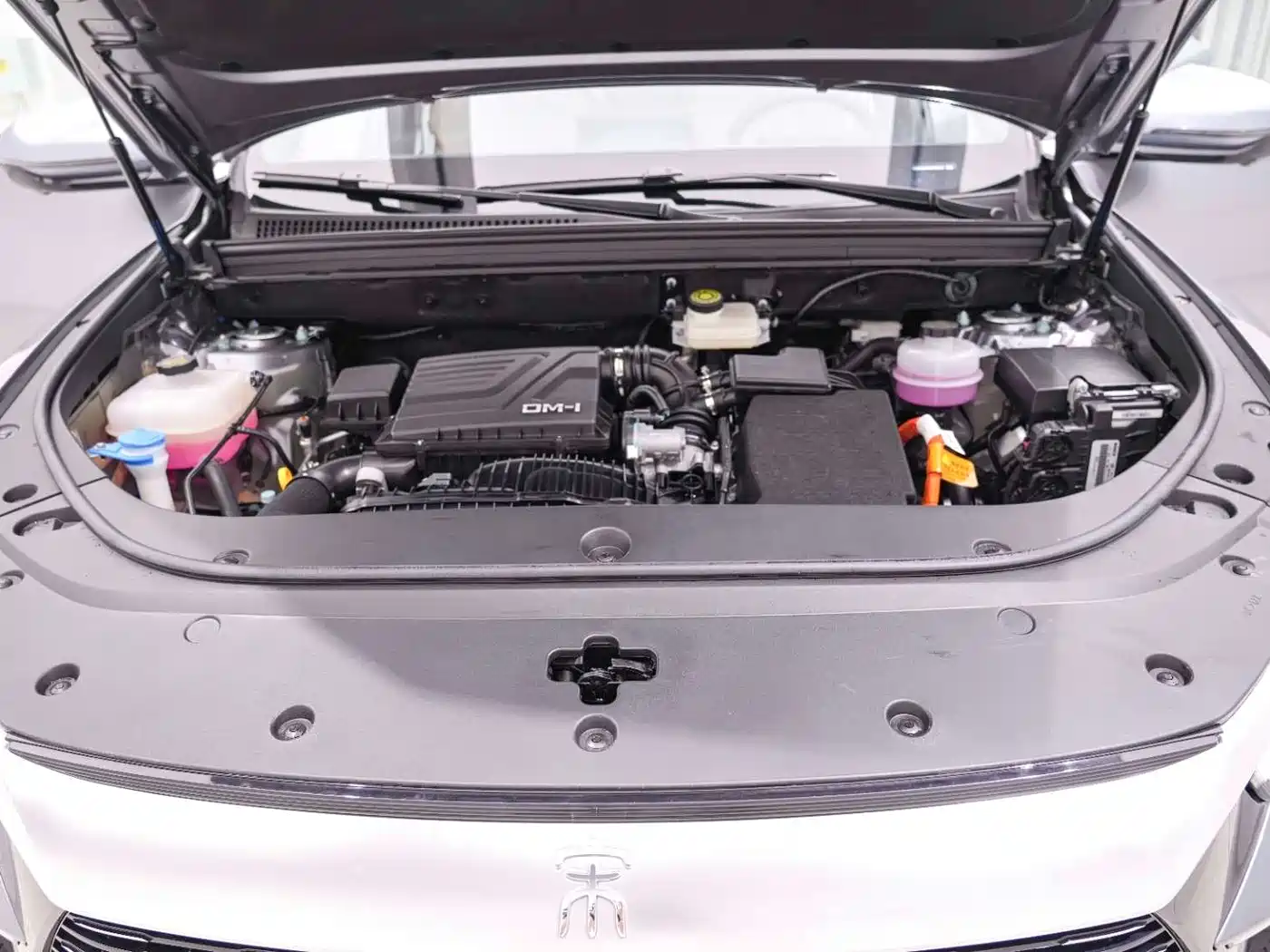 BYD Song Pro New Energy 2024 Glory Edition DM-i 71KM Pilot фото 23