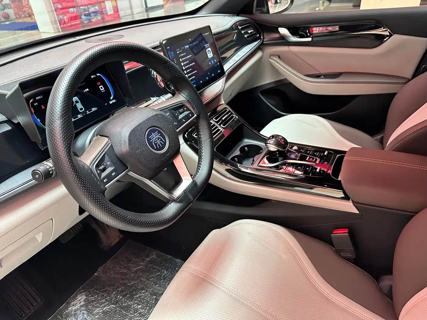 BYD Qin PLUS 2024 Glory Edition DM-i 55KM Leading фото 20
