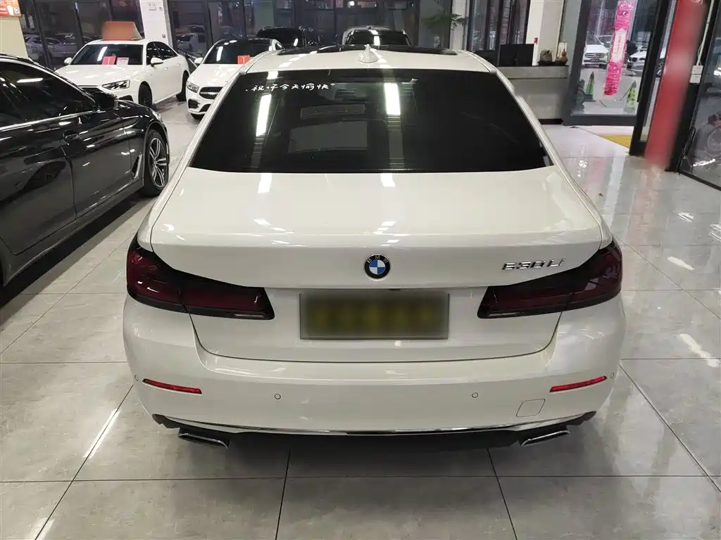 BMW 5 Series 2023 530Li Leading Luxury Package фото 6