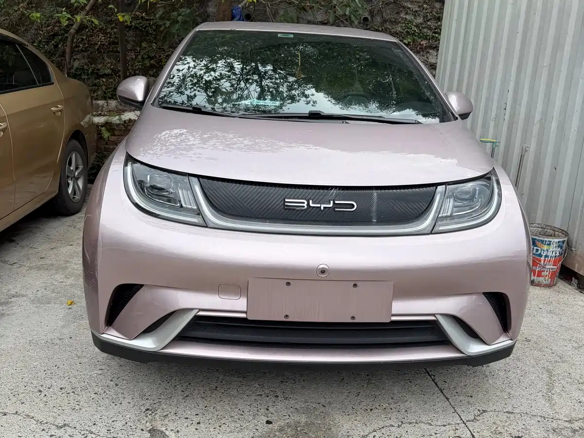 BYD Dolphin 2021