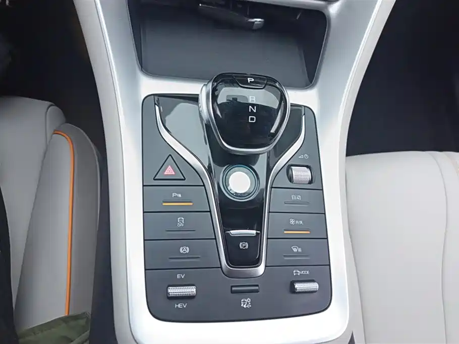 BYD Song Pro New Energy 2024 Glory Edition DM-i 71KM Pilot фото 16