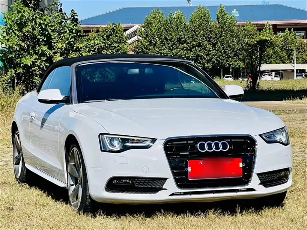 Audi A5 (Import) 2014 Cabriolet 45 TFSI quattro фото 13