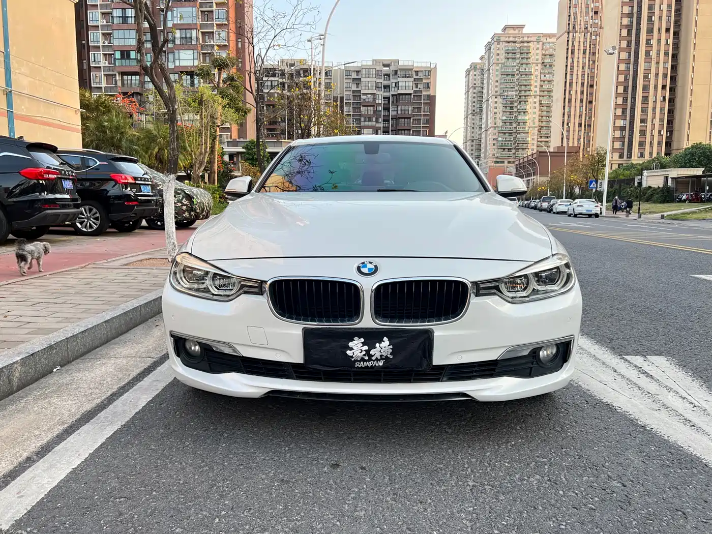 BMW 3 Series 2017 320Li Fashion фото 2