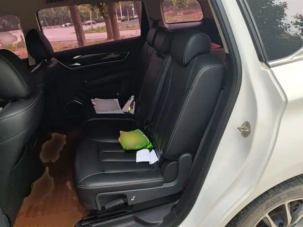 BYD Song MAX 2017 1.5T Auto Smart Luxury 7-Seater фото 14