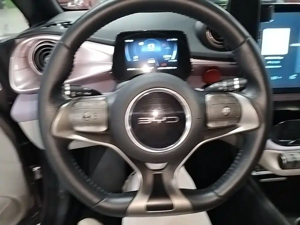 BYD Dolphin 2021 2021 401km Knight Edition