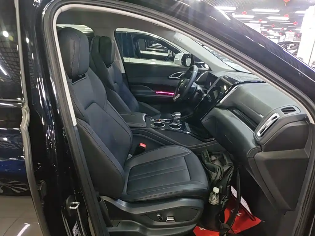 Hongqi HS3 PHEV 2025 2024 PHEV 115km Power Edition