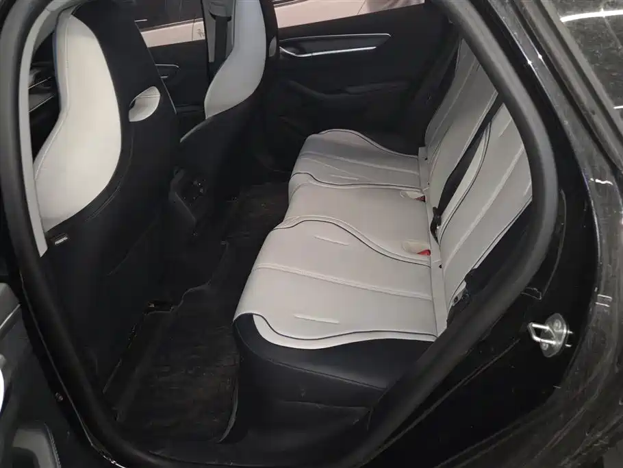 BYD Destroyer 05 2024 Glory Edition DM-i 55KM Luxury фото 11