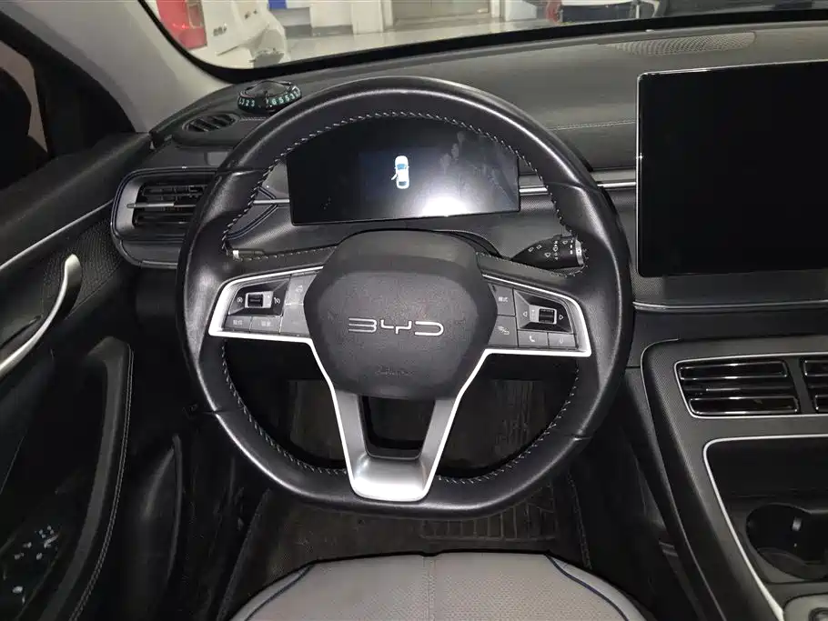 BYD Destroyer 05 2024 Glory Edition DM-i 55KM Luxury фото 15