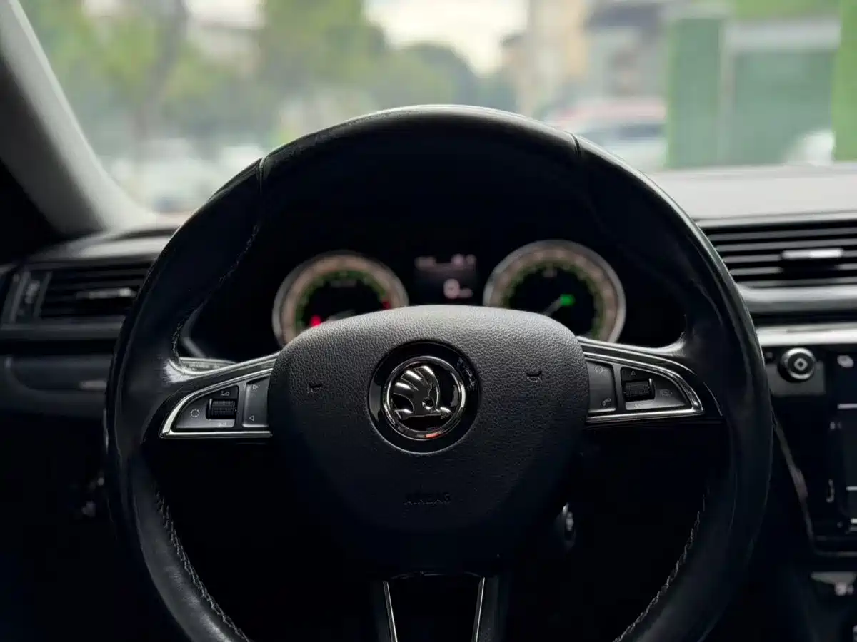 Škoda Superb 2018 TSI330 DSG Luxury Edition China V фото 11