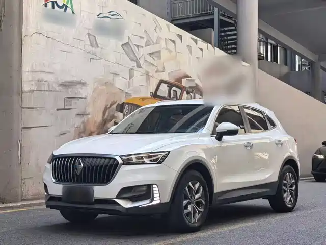 Borgward Borgward BX5 2020 20TGDI Automatic 2WD New Trend Edition