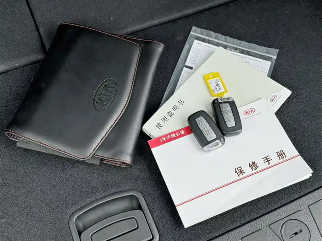 Kia Borego 2015 3.8L Luxury Edition China IV фото 7
