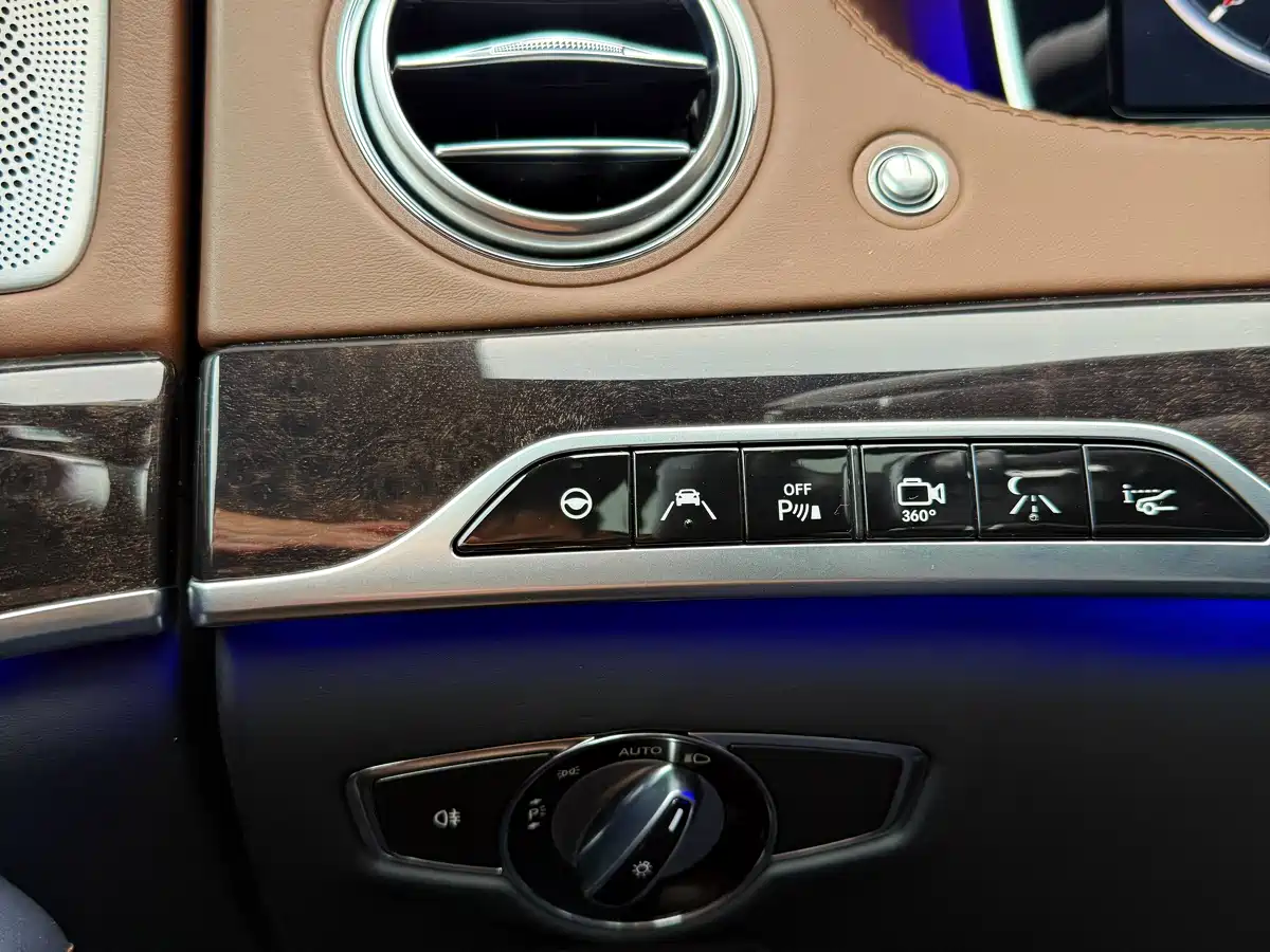 Mercedes-Benz S-Class 2014 S 600 L фото 29