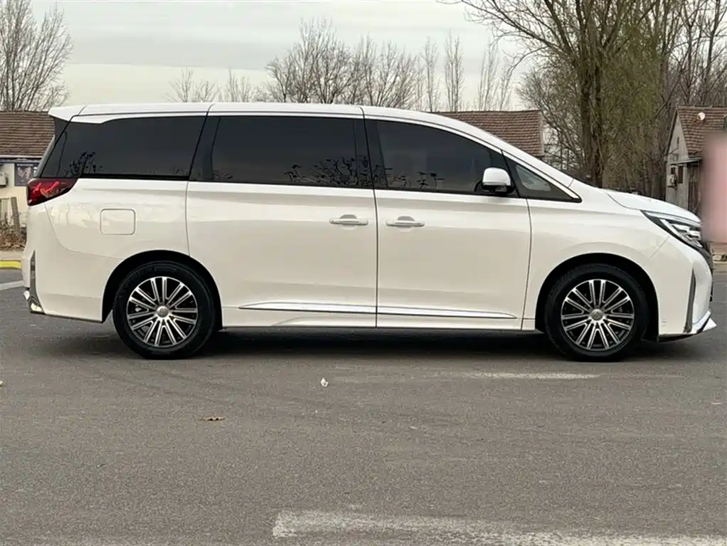 GAC Trumpchi Trumpchi M8 2021 Leading Show Series 390T Ultimate Edition фото 29
