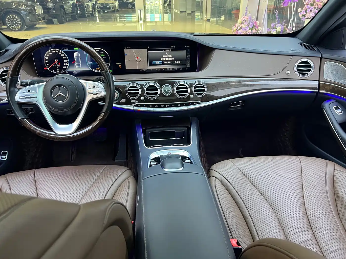 Mercedes-Benz S-Class 2020 S 350 L Premium Edition Collector's Version фото 9