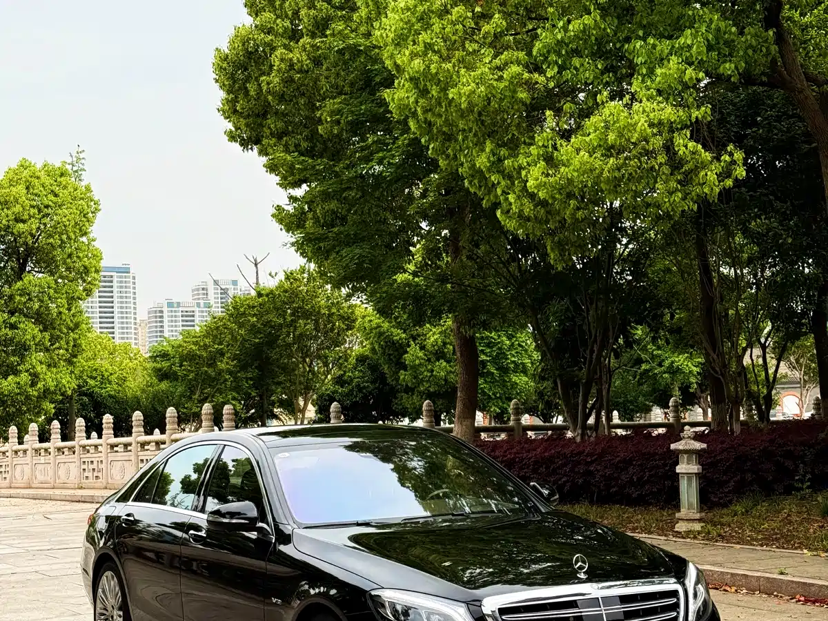 Mercedes-Benz S-Class 2014 S 600 L фото 5