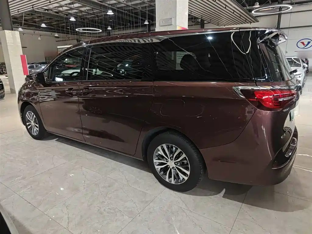 Buick GL8 2022 ES Landmark 653T Comfort фото 22