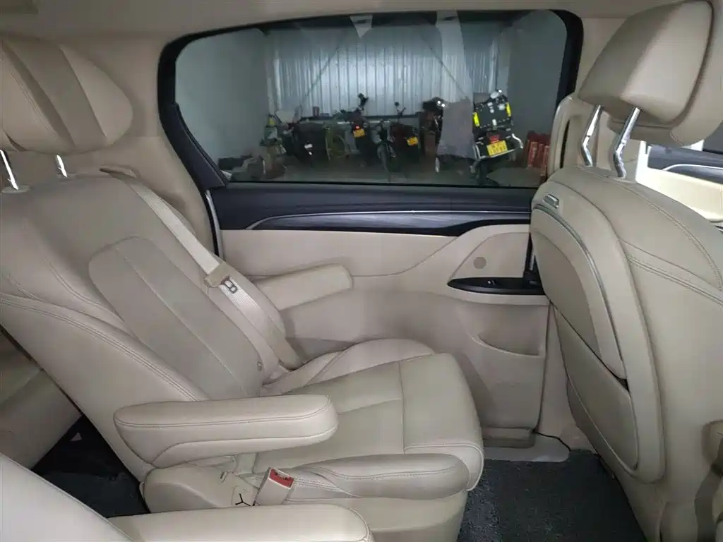 Buick GL8 2023 ES Landmaster Exclusive фото 29
