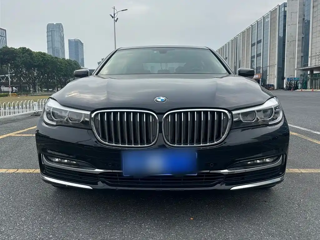 BMW 7 Series 2018 730Li Leading Type Excellence Package фото 29