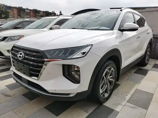  Hyundai Hyundai Tucson 2020 280TGDi 2WD GLS Fashion (China VI)