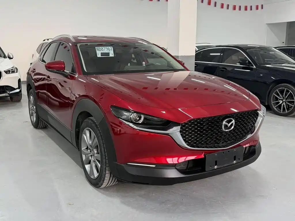 Mazda CX-30 2022 2022 2.0L Automatic Excellence Joy Model