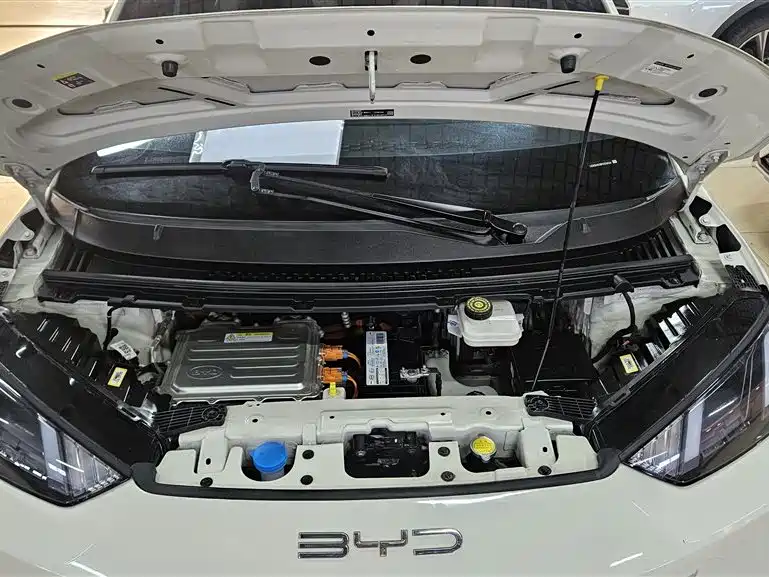 BYD Seagull 2023 Flying Edition фото 24
