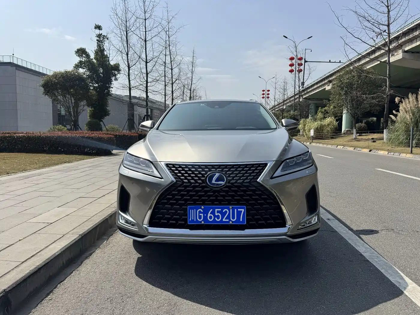 LEXUS RX