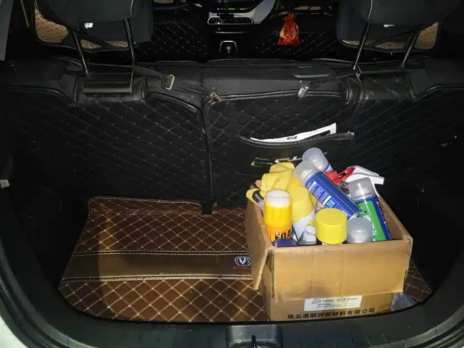 Changan Benben E-Star 2021 2020 Heartbeat Edition (NMC Battery)