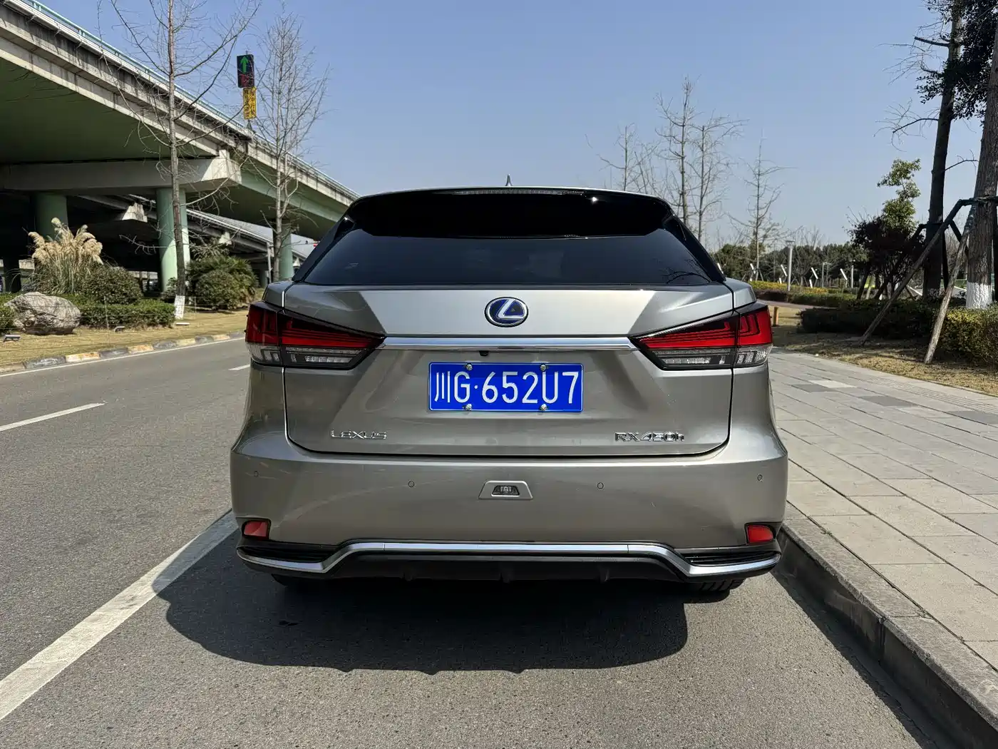 LEXUS RX