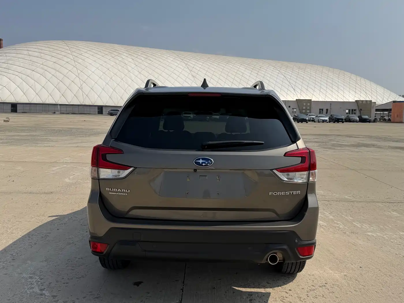 Subaru Forester 2021 2.0i Luxury Edition with EyeSight фото 6