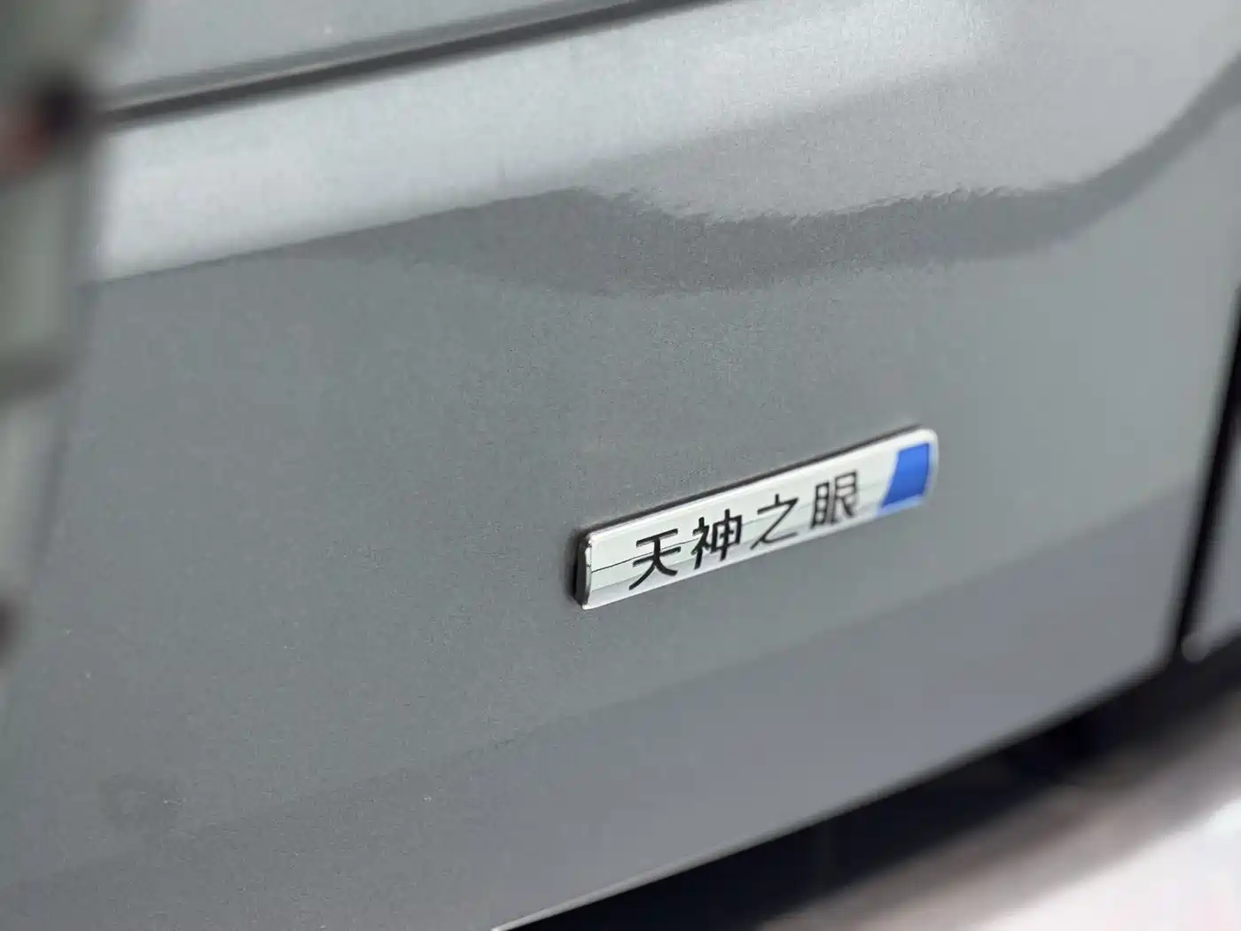 FANG CHENG BAO LEOPARD 5