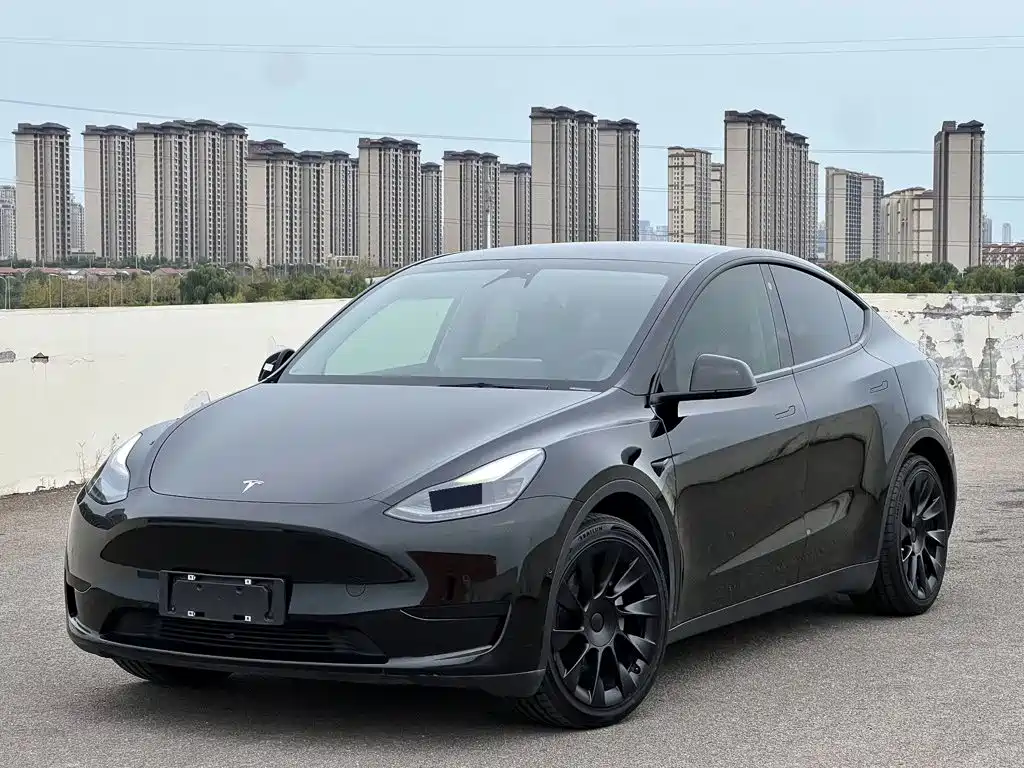 Tesla Model Y 2022 Rear-Wheel Drive Version
