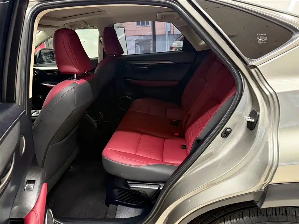 Lexus NX 2020 200 AWD F Sport China VI фото 18