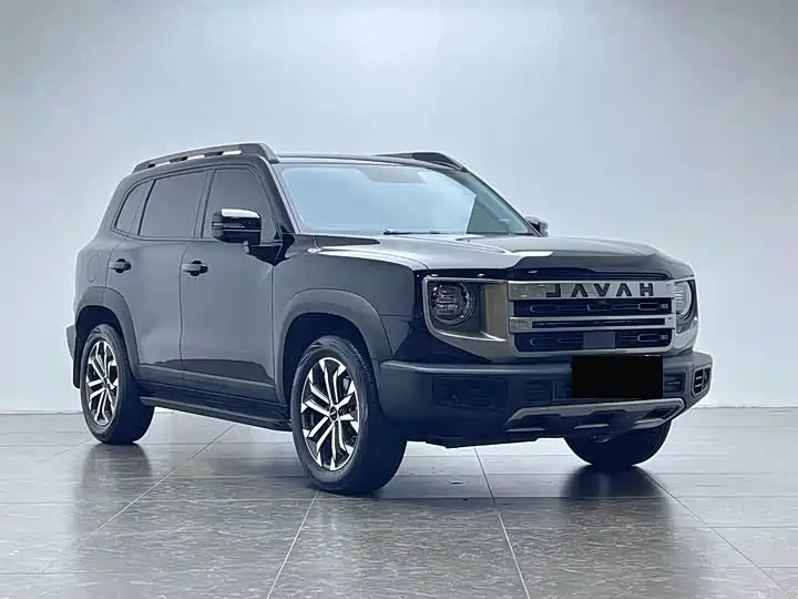 Haval Big Dog 2024 Model 1.5T DCT Labrador Edition фото 3