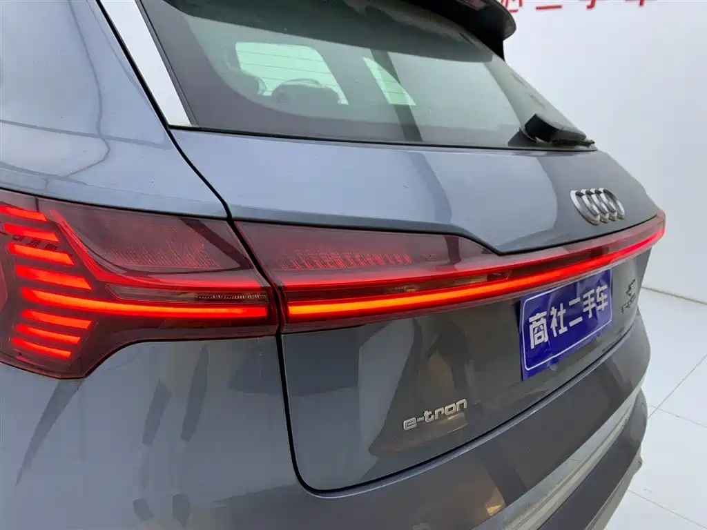 Audi e-tron 2021 50 quattro Luxury фото 9