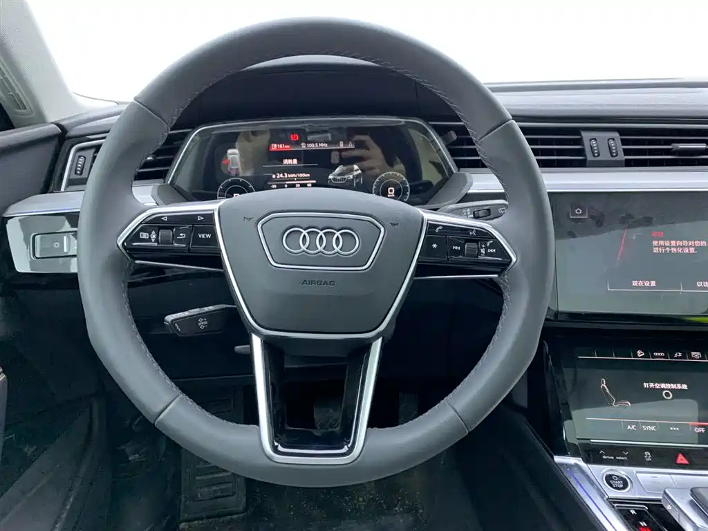 Audi e-tron 2021 50 quattro Luxury фото 22