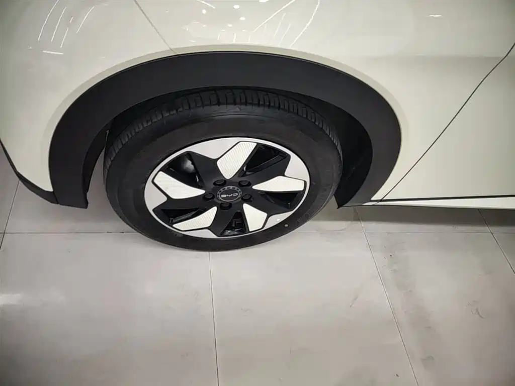BYD Dolphin 2024 Glory Edition 420km Fashion Edition фото 23